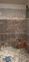 gal/2018/24 Rekonstrukce/_thb_20181026_165546.jpg